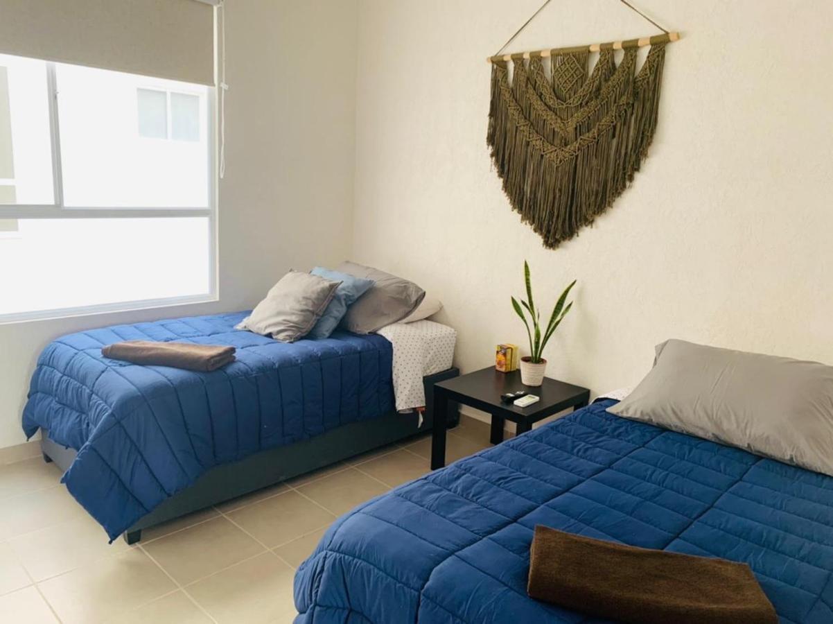Franks House Apartment "Shared House" 坎昆 外观 照片