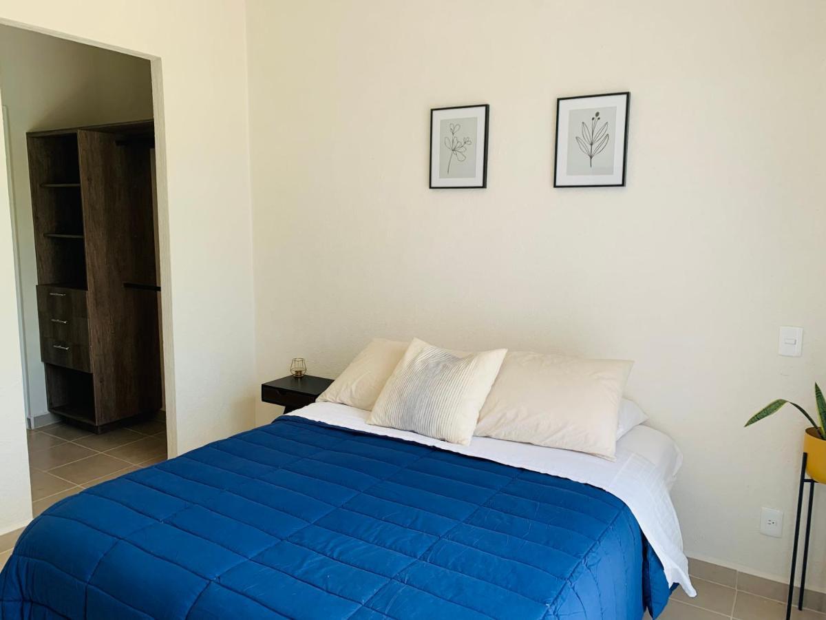 Franks House Apartment "Shared House" 坎昆 外观 照片